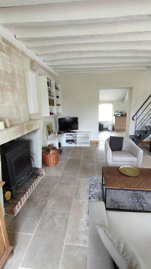 Chateau Des Nouies Villa Selles-sur-Cher Kültér fotó