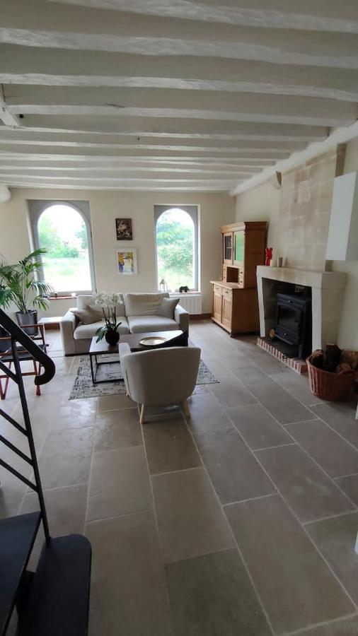 Chateau Des Nouies Villa Selles-sur-Cher Kültér fotó