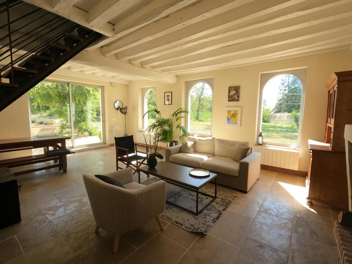 Chateau Des Nouies Villa Selles-sur-Cher Kültér fotó