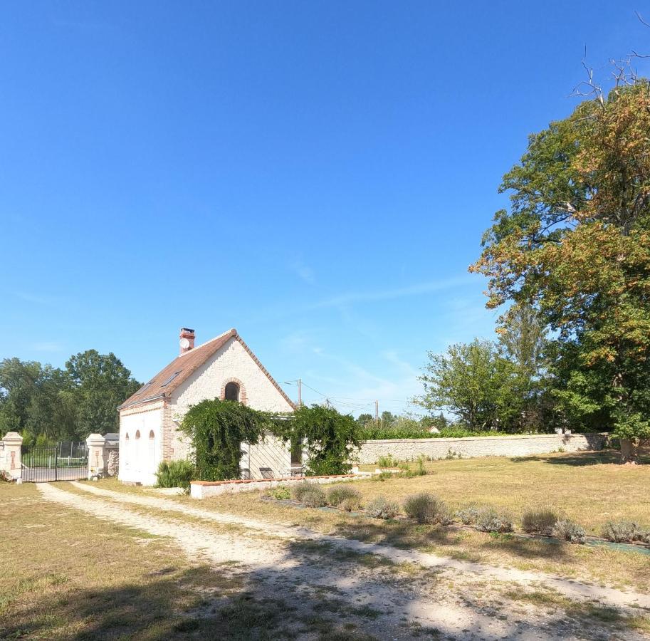 Chateau Des Nouies Villa Selles-sur-Cher Kültér fotó